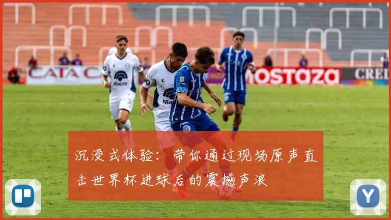 沉浸式体验：带你通过现场原声直击世界杯进球后的震撼声浪